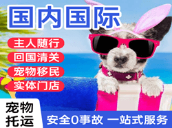 三亚凤凰机场快运国际宠物托运 【国